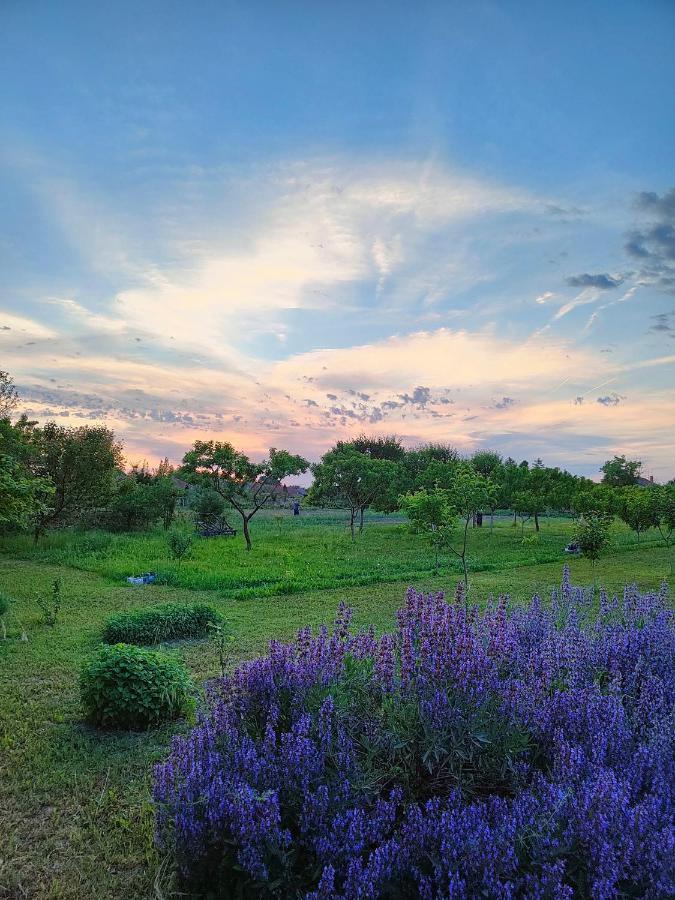 Bed and Breakfast Ethno&Coffee House Tulip Glozan Экстерьер фото
